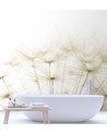 Stylish Wallpaper - Puffer plants in white | FEEBY