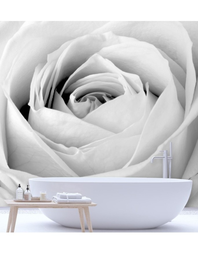 Decorative Wallpaper - White rose flower nature | FEEBY