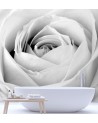 Decorative Wallpaper - White rose flower nature | FEEBY