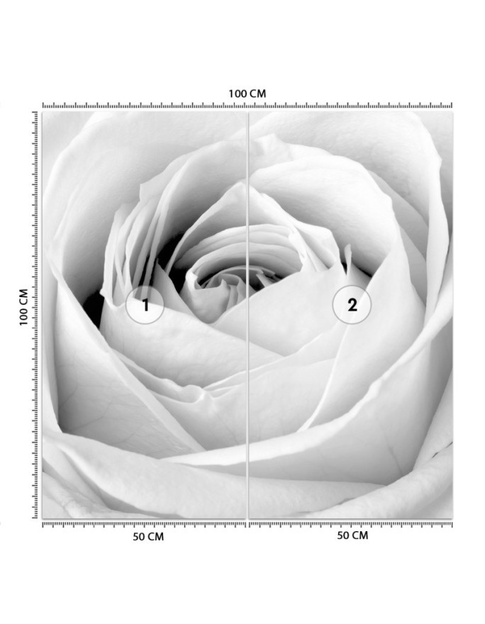Decorative Wallpaper - White rose flower nature | FEEBY