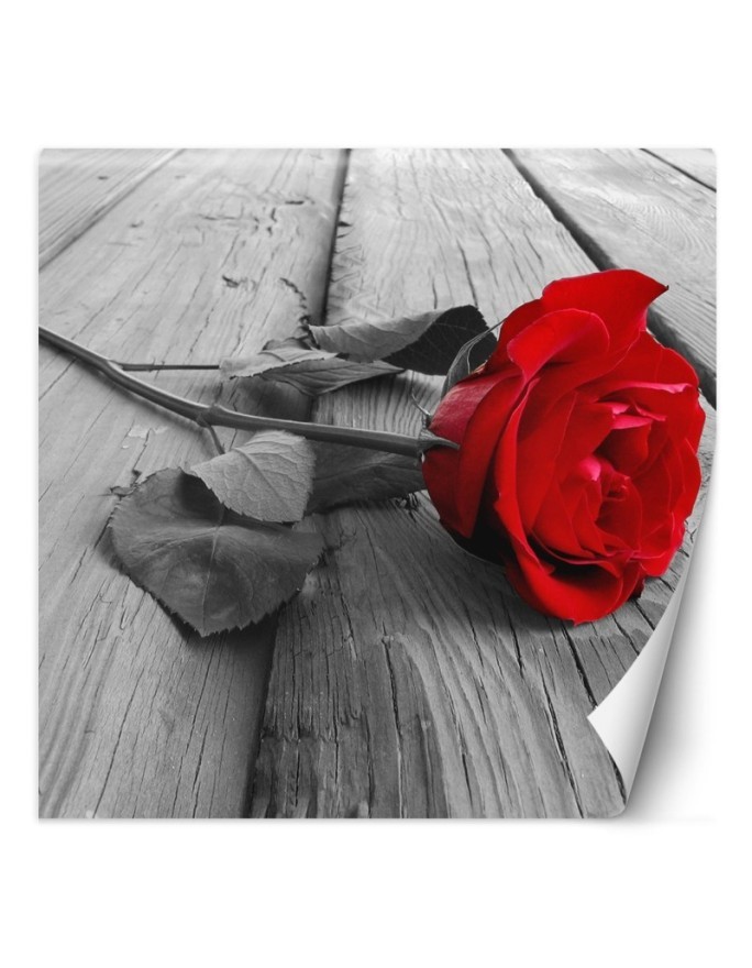 Wallpaper - Red rose on a bridge | FEEBY