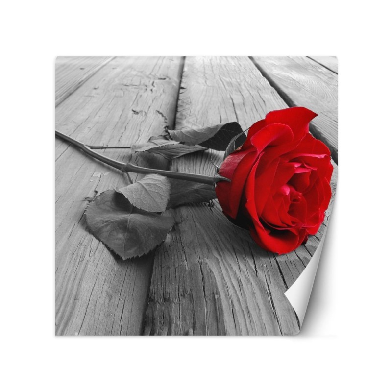 Wallpaper - Red rose on a bridge | FEEBY