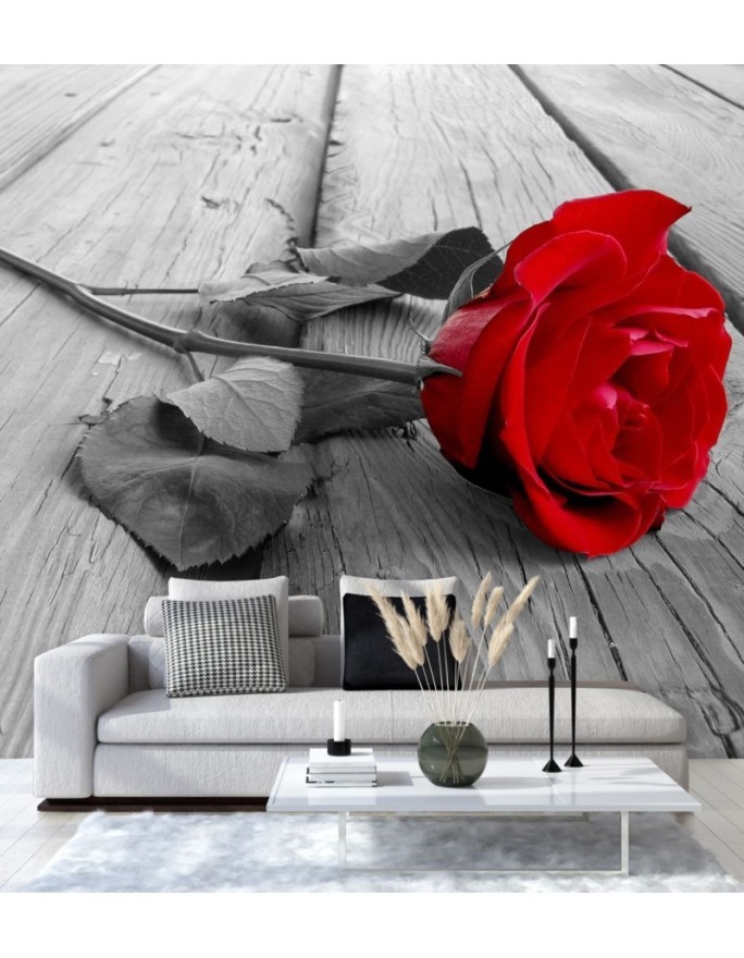 Wallpaper - Red rose on a bridge | FEEBY