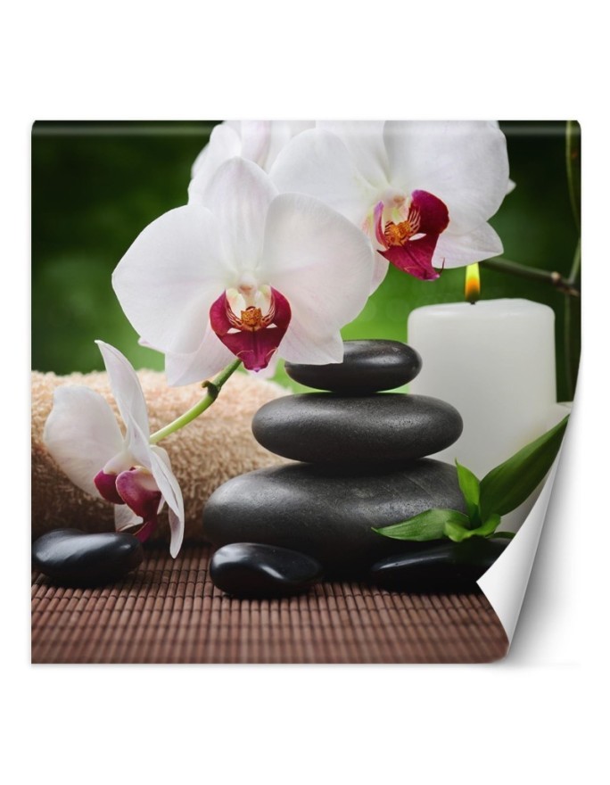 Wall mural - Orchid candle and zen stones in spa | FEEBY
