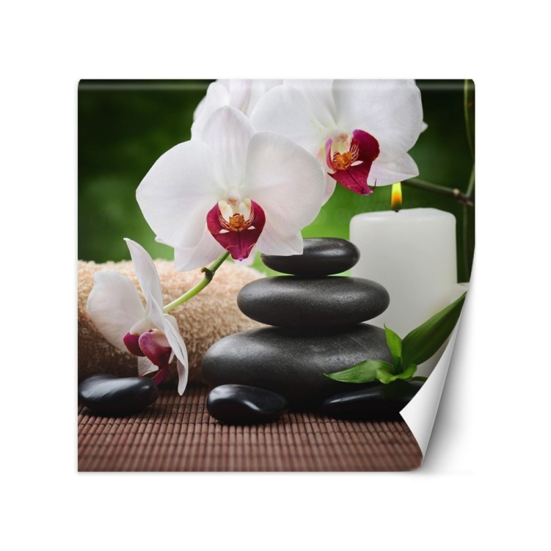 Wall mural - Orchid candle and zen stones in spa | FEEBY