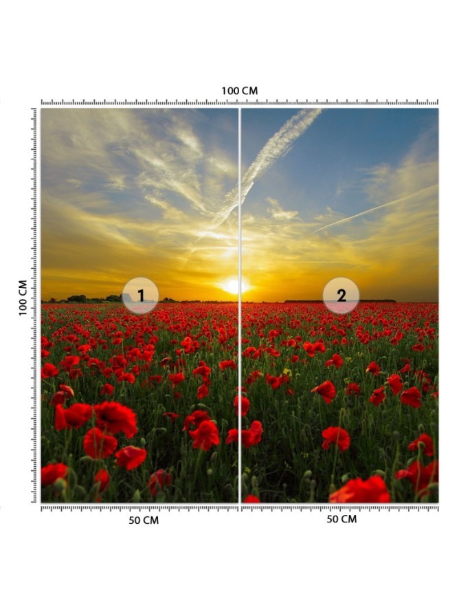 Wall mural - Poppies flowers meadow | FEEBY