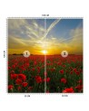 Wall mural - Poppies flowers meadow | FEEBY