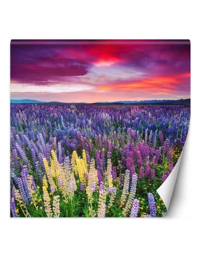 Beautiful Wallpaper - Heather flowers in a meadow | FEEBY