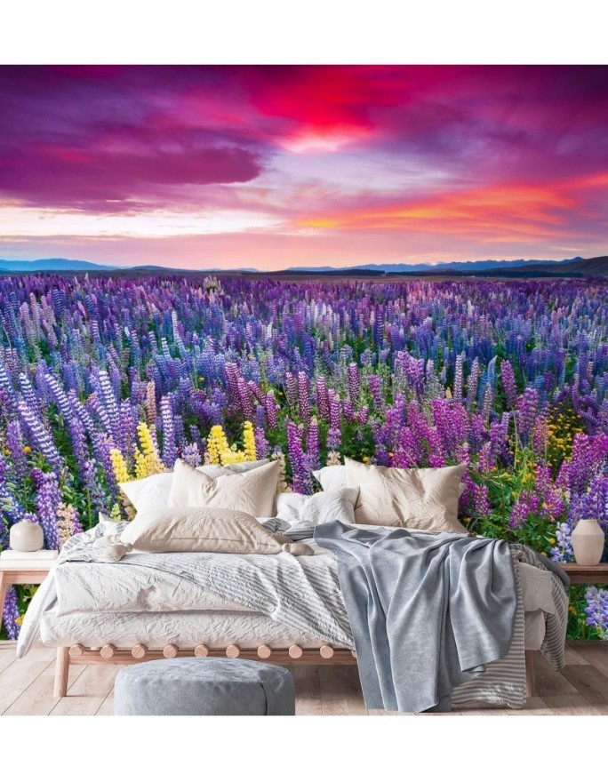 Beautiful Wallpaper - Heather flowers in a meadow | FEEBY