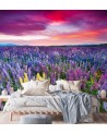 Beautiful Wallpaper - Heather flowers in a meadow | FEEBY