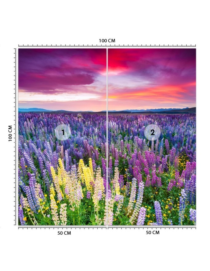 Beautiful Wallpaper - Heather flowers in a meadow | FEEBY