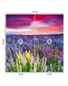 Beautiful Wallpaper - Heather flowers in a meadow | FEEBY