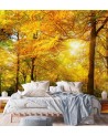 Stylish Wallpaper - Autumn forest in sunshine | FEEBY