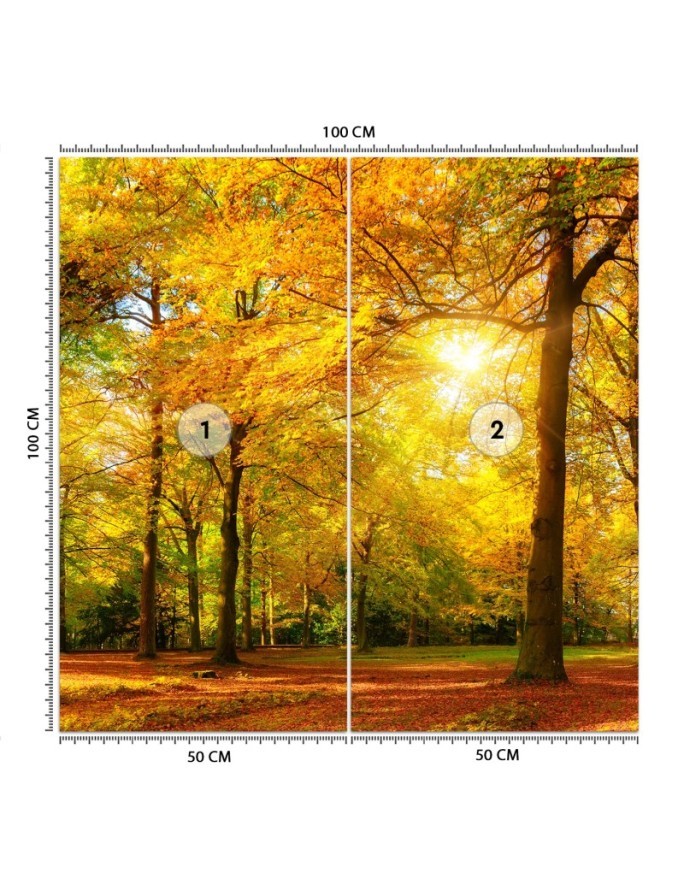 Stylish Wallpaper - Autumn forest in sunshine | FEEBY