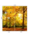Stylish Wallpaper - Autumn forest in sunshine | FEEBY