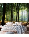 Wallpaper - Forest trees sunshine nature | FEEBY