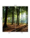 Wallpaper - Forest trees sunshine nature | FEEBY