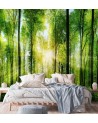 Photo wall mural - Forest of trees sunshine nature | FEEBY