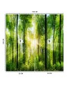 Photo wall mural - Forest of trees sunshine nature | FEEBY