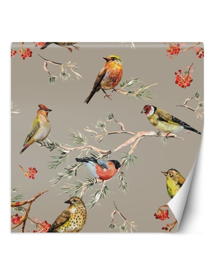 Unique Wallpapers - Colourful birds | FEEBY