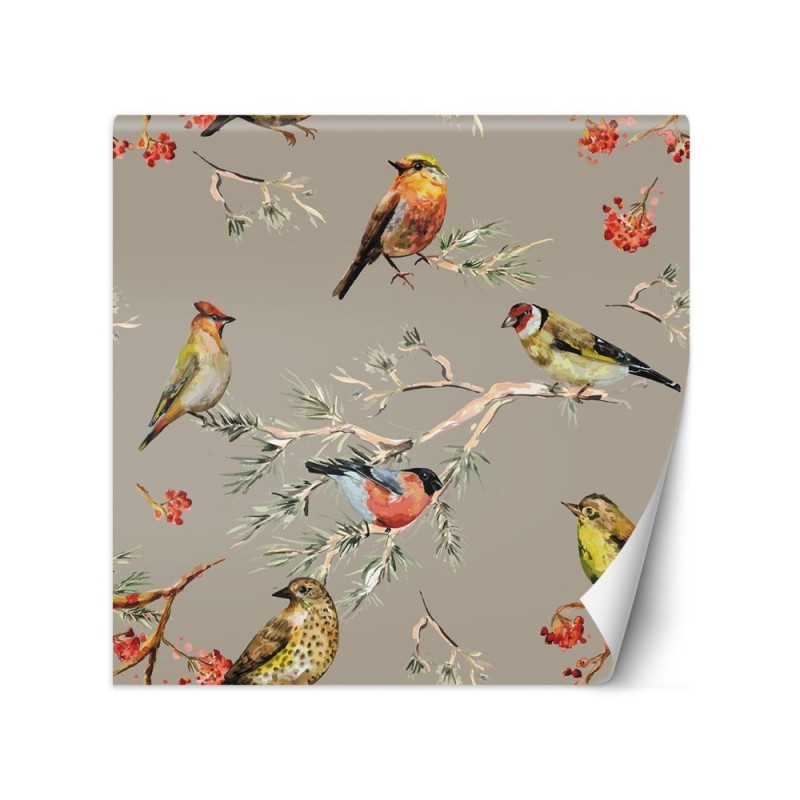 Unique Wallpapers - Colourful birds | FEEBY