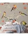 Unique Wallpapers - Colourful birds | FEEBY