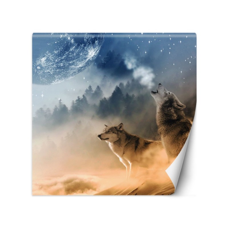 Unique Wallpapers for the living room - Wolf moon forest in the fog | FEEBY