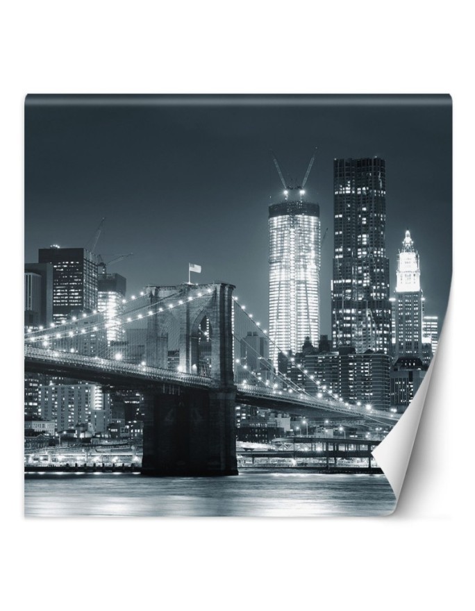 Wallpapers - Brooklyn Bridge at night New York black and white | FEEBY