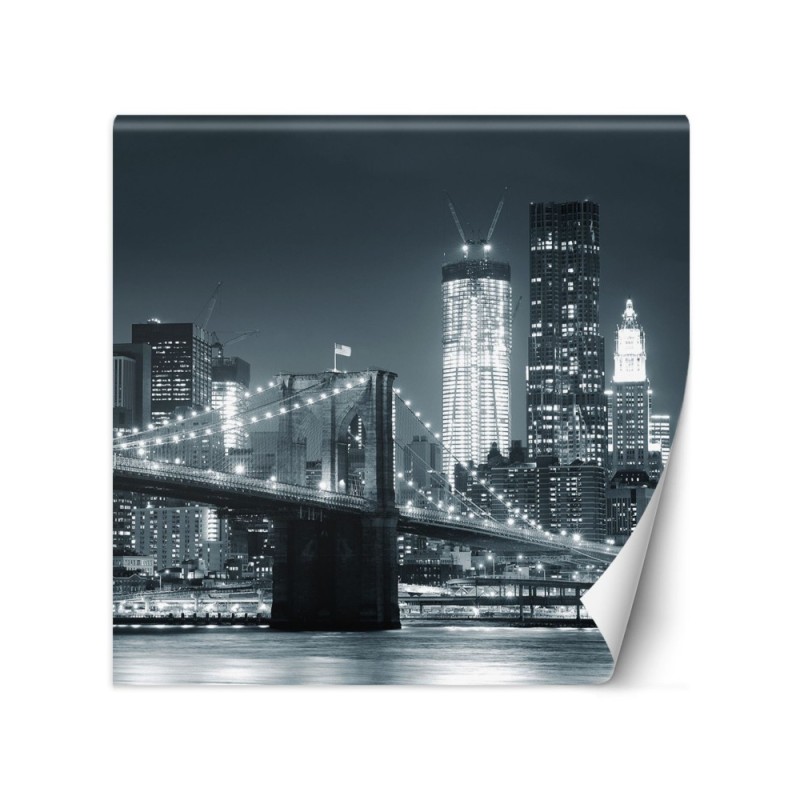 Wallpapers - Brooklyn Bridge at night New York black and white | FEEBY