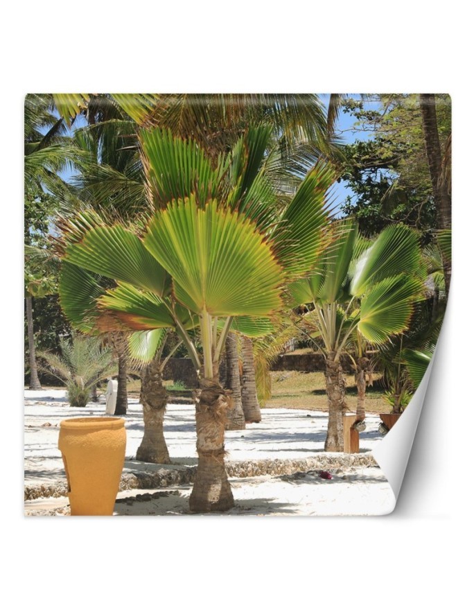 Exclusive Wallpapers - Palm trees on a tropical beach | FEEBY