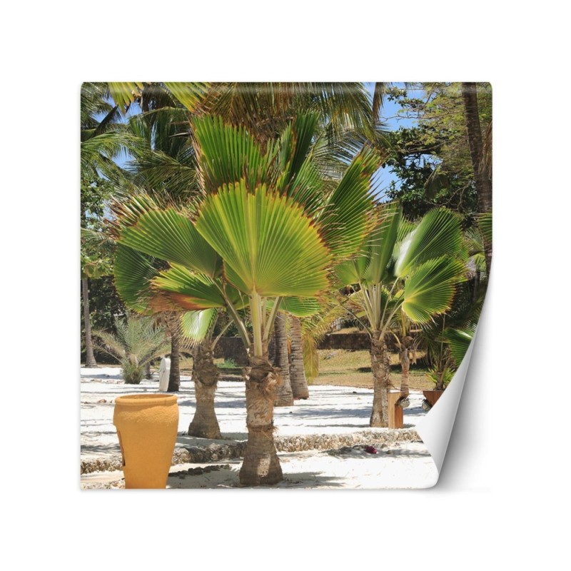 Exclusive Wallpapers - Palm trees on a tropical beach | FEEBY