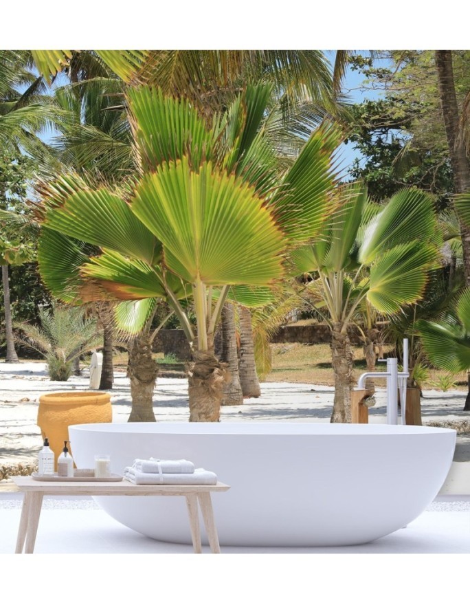 Exclusive Wallpapers - Palm trees on a tropical beach | FEEBY