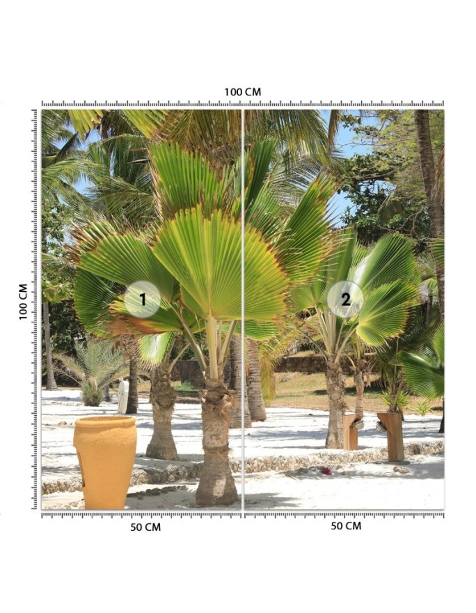 Exclusive Wallpapers - Palm trees on a tropical beach | FEEBY