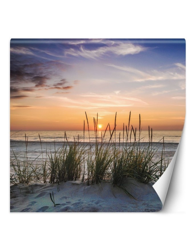 Wall mural for living room - Beach sea sunset | FEEBY
