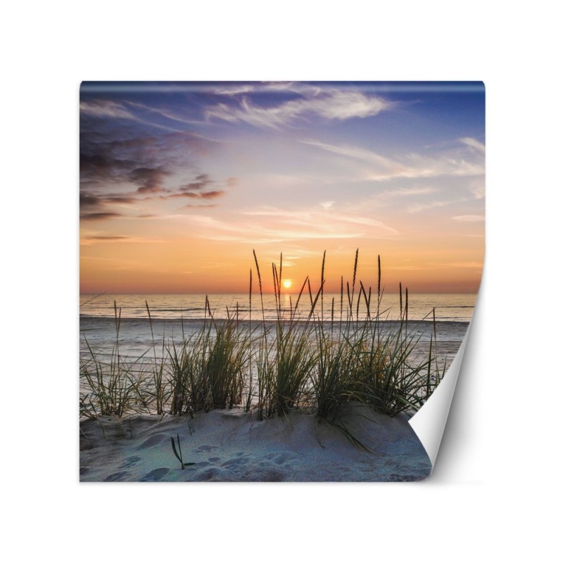 Wall mural for living room - Beach sea sunset | FEEBY