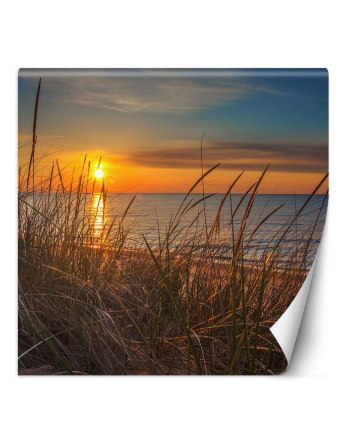 Photo wall mural - Sunset over the sea | FEEBY