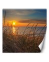 Photo wall mural - Sunset over the sea | FEEBY