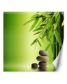 Mural for spa or study - Bamboo leaves on green background | FEEBY