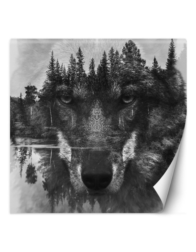 Trendy wall murals - Wolf forest in mist lake | FEEBY
