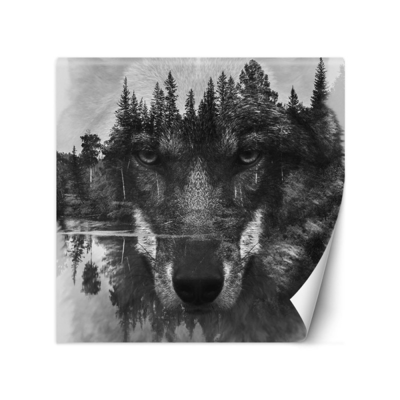 Trendy wall murals - Wolf forest in mist lake | FEEBY