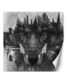 Trendy wall murals - Wolf forest in mist lake | FEEBY