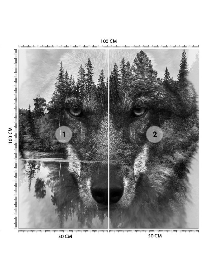 Trendy wall murals - Wolf forest in mist lake | FEEBY