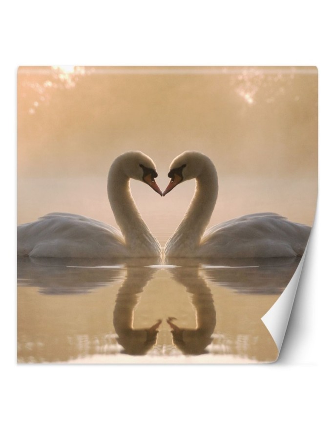 Beautiful wall murals - Swans swimming in a lake | FEEBY