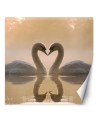 Beautiful wall murals - Swans swimming in a lake | FEEBY