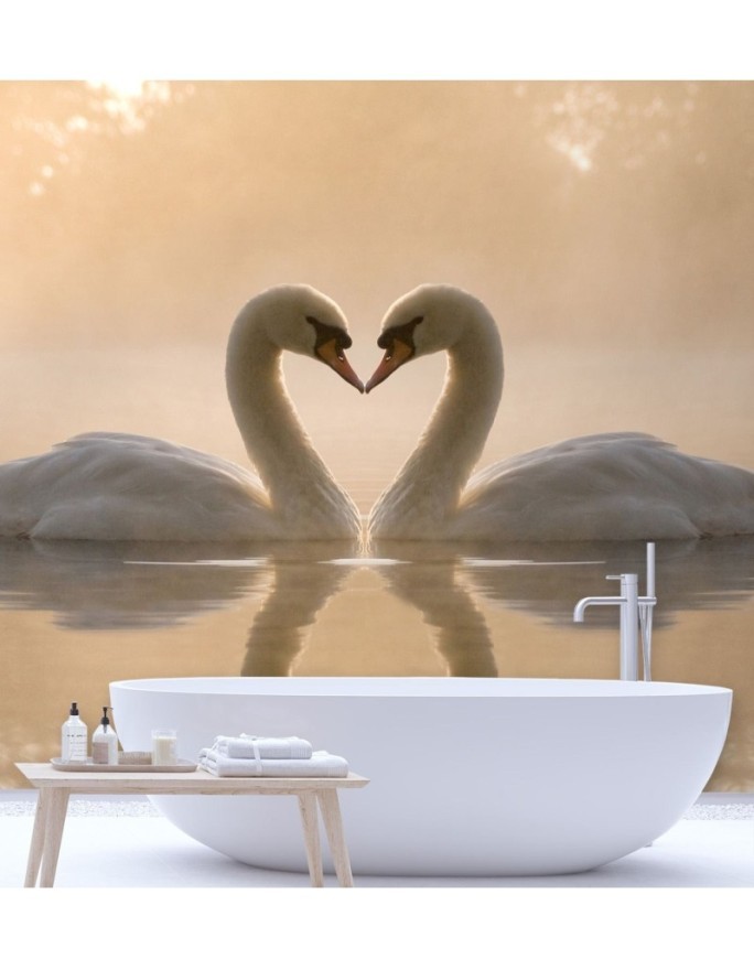 Beautiful wall murals - Swans swimming in a lake | FEEBY