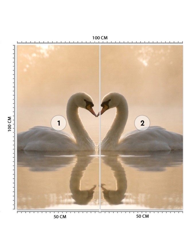 Beautiful wall murals - Swans swimming in a lake | FEEBY