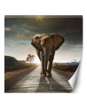 Unique wall murals for the living room - Elephant on the road | FEEBY