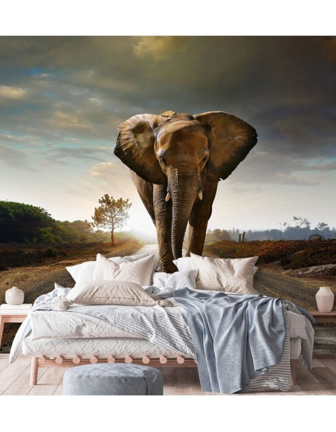 Unique wall murals for the living room - Elephant on the road | FEEBY