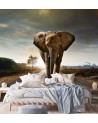 Unique wall murals for the living room - Elephant on the road | FEEBY