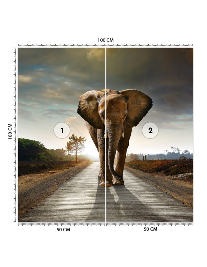 Unique wall murals for the living room - Elephant on the road | FEEBY